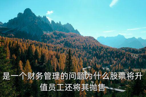 為什么要拋售股票，是一個財務管理的問題為什么股票將升值員工還將其拋售