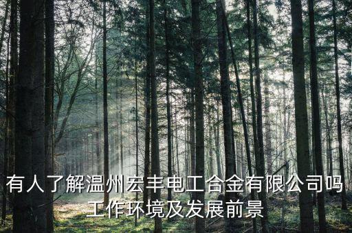 有人了解溫州宏豐電工合金有限公司嗎工作環境及發展前景