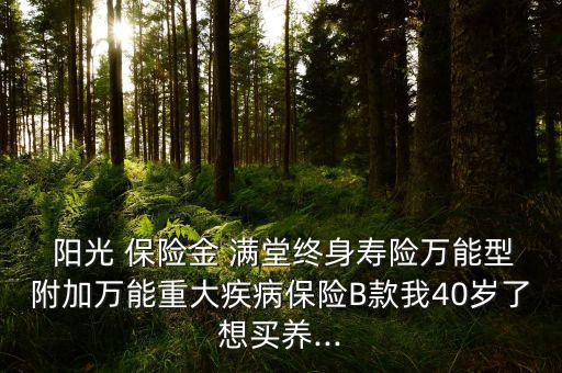  陽光 保險金 滿堂終身壽險萬能型附加萬能重大疾病保險B款我40歲了想買養...