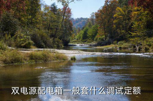 雙電源配電箱一般套什么調試定額