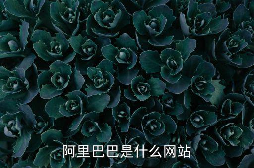 阿里巴巴是什么網(wǎng)站，阿里巴巴是什么網(wǎng)站