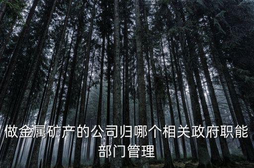 做金屬礦產的公司歸哪個相關政府職能部門管理