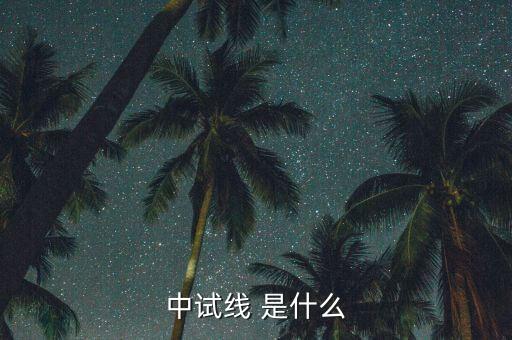 中試線是什么意思，中試線 是什么