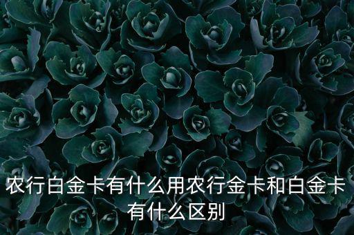 農行白金卡有什么用農行金卡和白金卡有什么區別