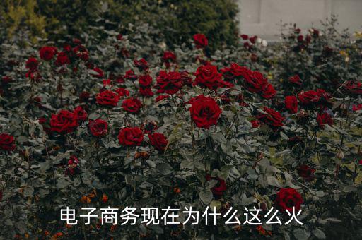 電子商務現在為什么這么火