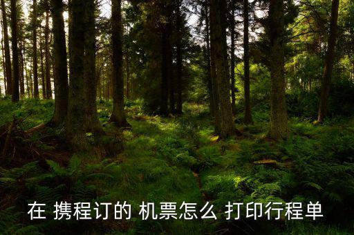 攜程買的往返機票怎么打印,網上購票打印行程流程如何進行?