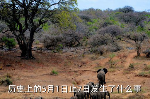 史上5月1日發生了什么，歷史上的5月1日止7日發生了什么事