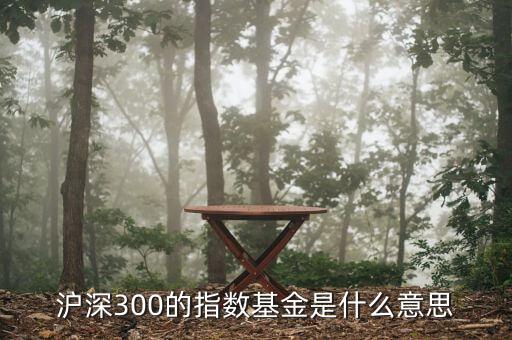 基金滬深300什么，滬深300的指數基金是什么意思