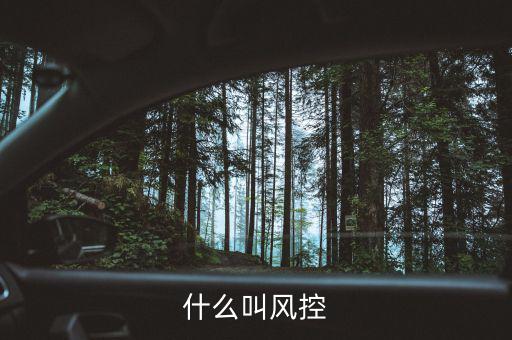 易到風控什么意思，什么叫風控
