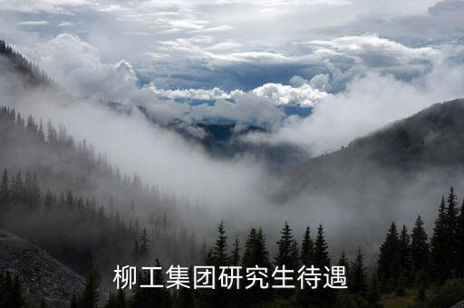 柳鋼工資怎么樣,我國工程機械行業比較低迷招聘還有空間嗎?