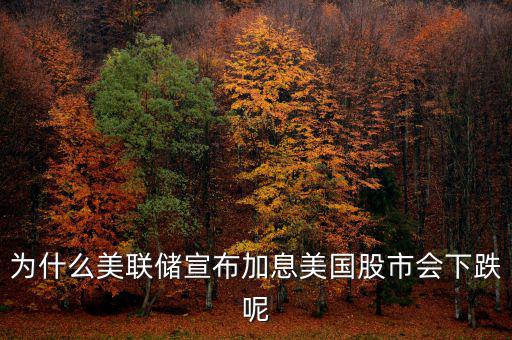 為什么美聯儲宣布加息美國股市會下跌呢