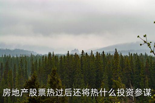 房地產股票熱過后還將熱什么投資參謀