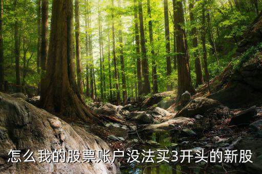 3開(kāi)頭的股票為什么不能買，請(qǐng)問(wèn)新開(kāi)戶的股民為什么不能買3字開(kāi)頭的股票