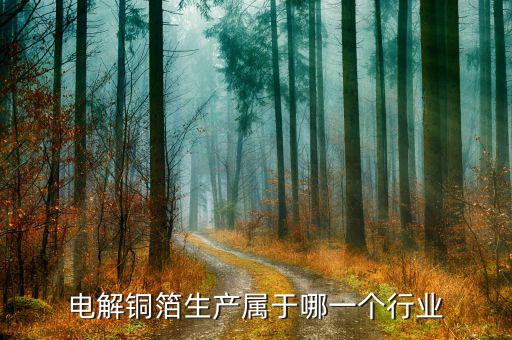 電解銅箔生產屬于哪一個行業