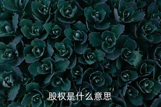 股權是什么意思