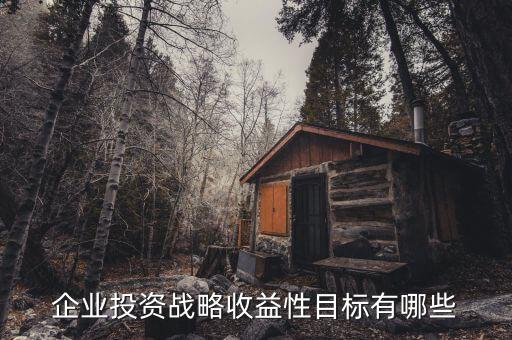 企業投資戰略收益性目標有哪些