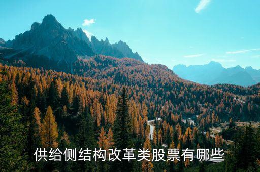 供給側最利好什么股票，供給側改革概念股有哪些