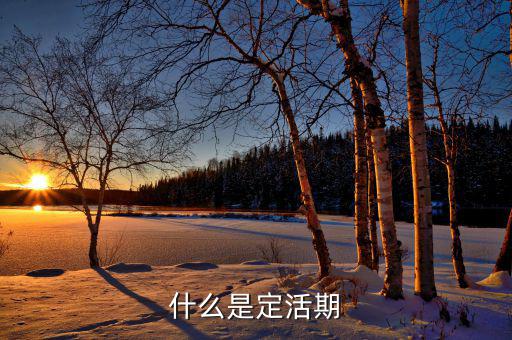 定期活期是什么意思，什么是定活期