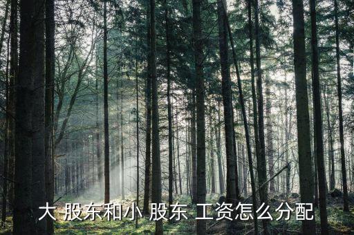 股東工資怎么發,股東對公司債務承擔有限或無限責任