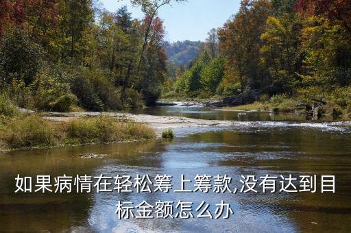 如果病情在輕松籌上籌款,沒有達到目標(biāo)金額怎么辦