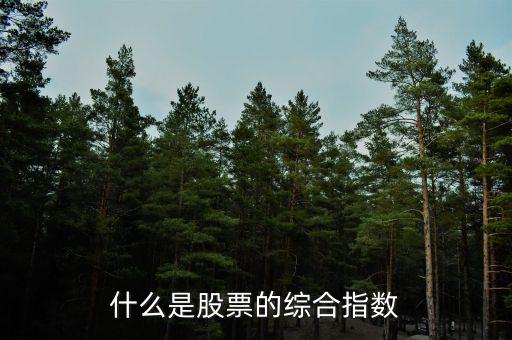 什么是股票的綜合指數