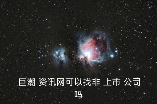  巨潮 資訊網可以找非 上市 公司嗎