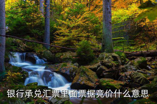 票據網交易是什么意思，中國票據網httpwwwzgpjwcom中的票據轉貼直貼買入直貼賣出