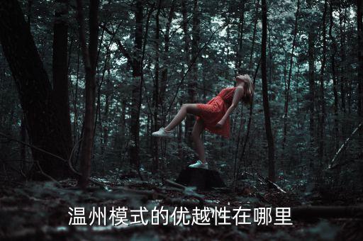 溫州模式為什么具有很強的經濟性，溫州模式取得成功的原因6分題