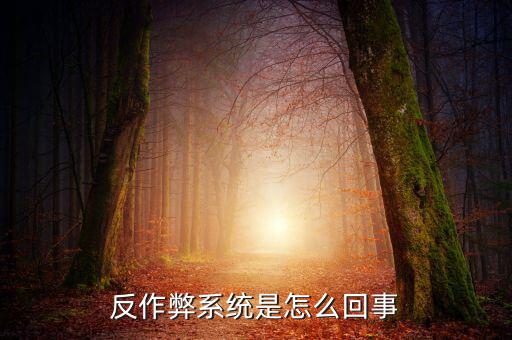 反作弊系統是怎么回事