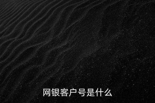 網銀客戶號是什么