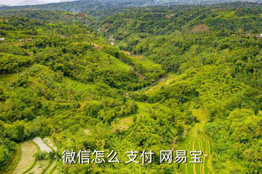 網易云怎么微信支付,網易云能微信支付怎么用