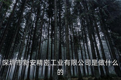 深圳市新安精密工業有限公司是做什么的