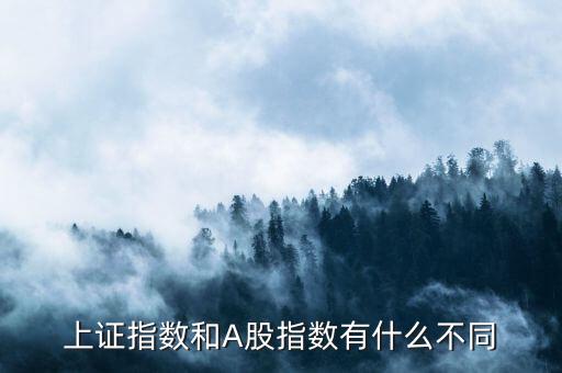 上證指數和A股指數有什么不同