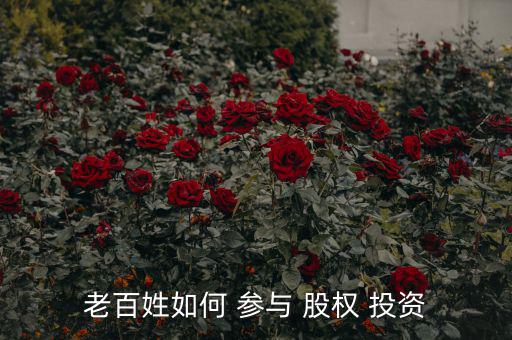 老百姓如何 參與 股權 投資