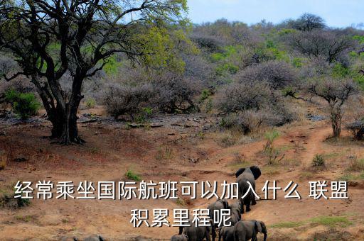 星空聯盟積分怎么算,南航、東航可通過明珠卡共享積分等