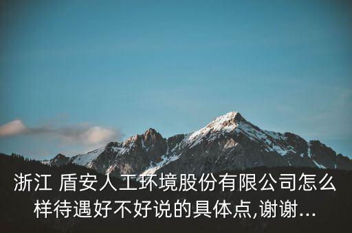 浙江 盾安人工環境股份有限公司怎么樣待遇好不好說的具體點,謝謝...
