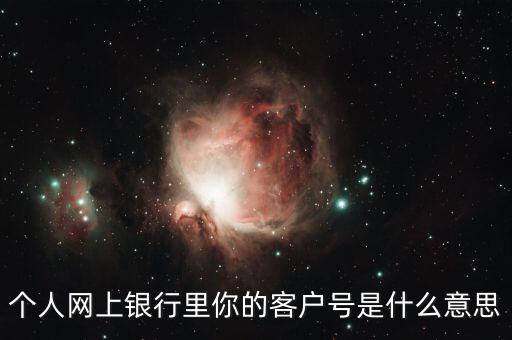 個人網上銀行里你的客戶號是什么意思