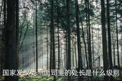 央企處長是什么級別，央企比如移動(dòng) 電信 聯(lián)通 中石油石化 這些企業(yè)縣的老總是什么級別