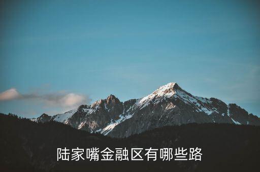 陸家嘴金融區有哪些路