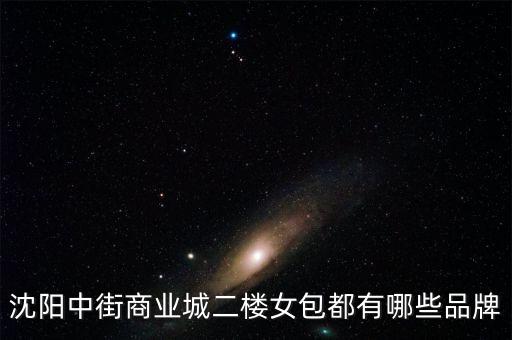 沈陽中街商業城二樓女包都有哪些品牌