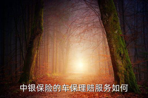 中銀保險車險vip客戶有什么權利，中銀保險的車保理賠服務如何