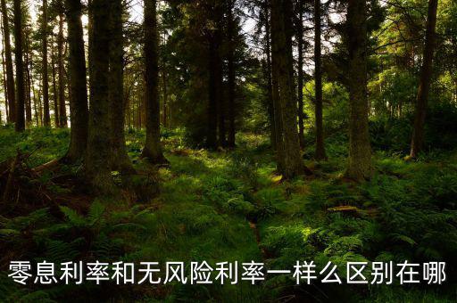 即期利率是什么，定期的利息和國期的利息是什么