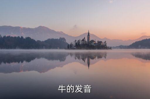 牛的發音