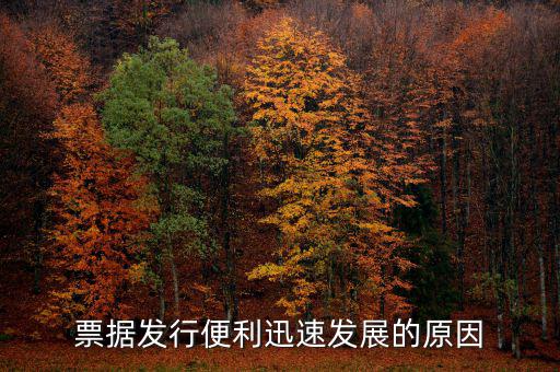 票據發行便利迅速發展的原因