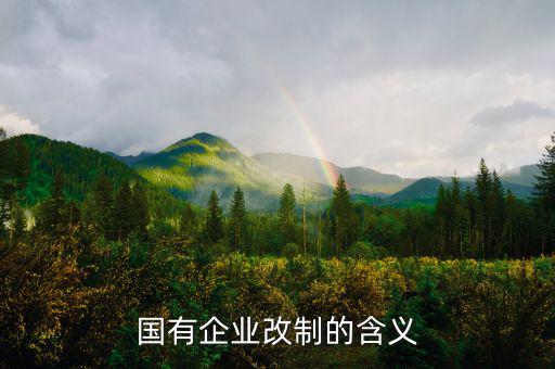 國有企業改制的含義