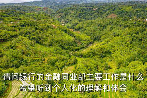 請問銀行的金融同業部主要工作是什么希望聽到個人化的理解和體會