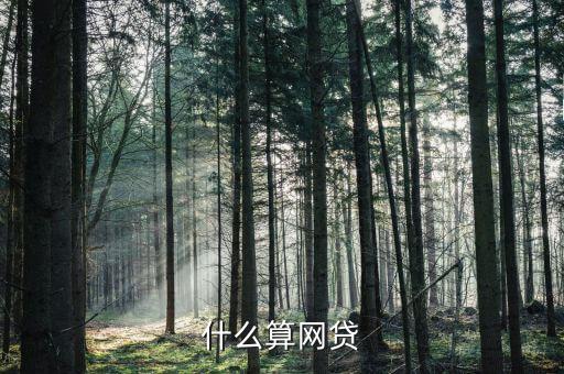 什么算網貸