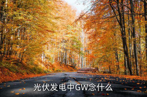 光伏gw是什么意思，wg在光伏發電里是什么意思