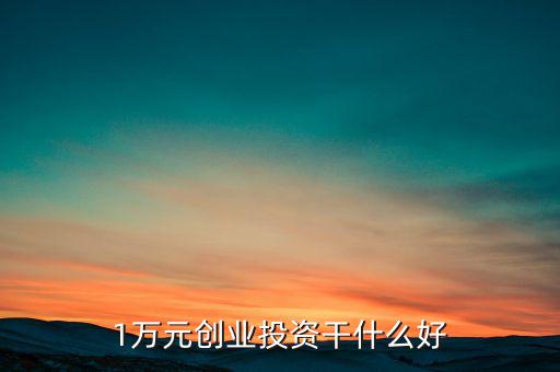 1萬元創業投資干什么好