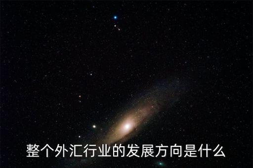 整個外匯行業的發展方向是什么